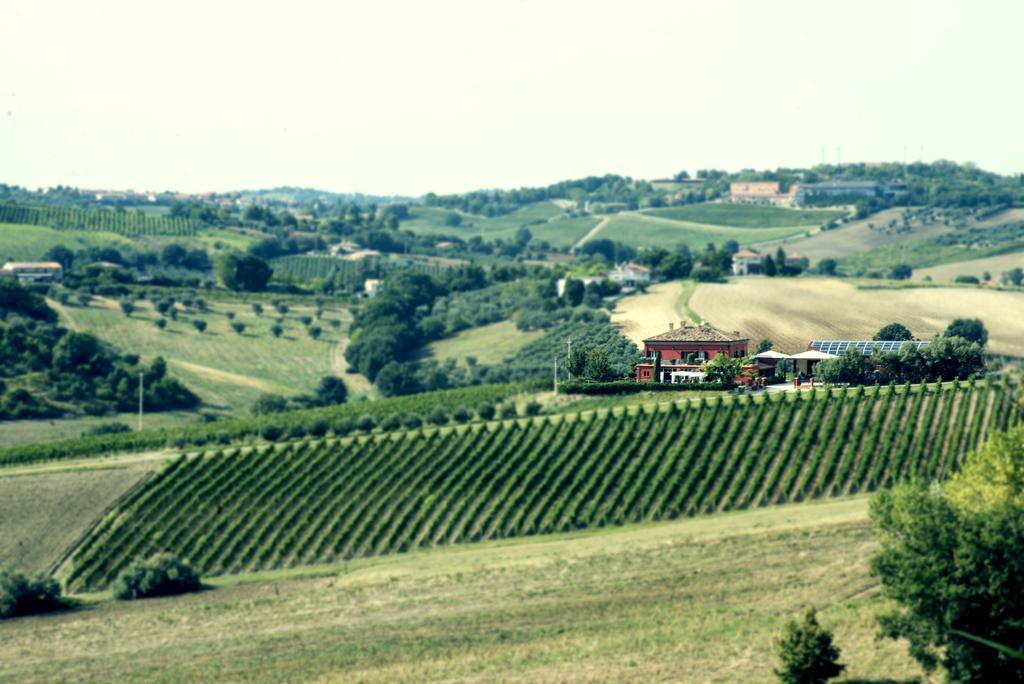 Tenuta Santini Villa Coriano Exterior photo